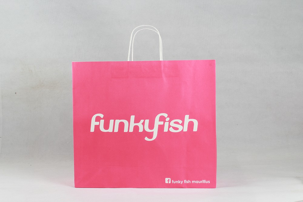时尚简约型牛皮纸袋  funky fish