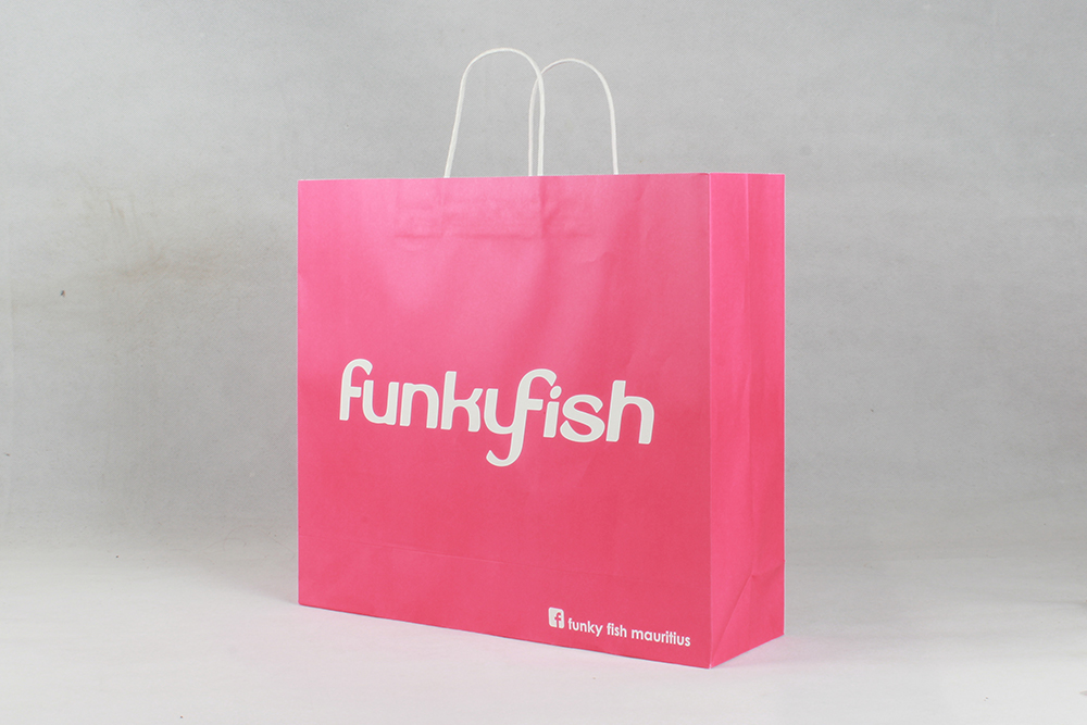 时尚简约型牛皮纸袋 funky fish