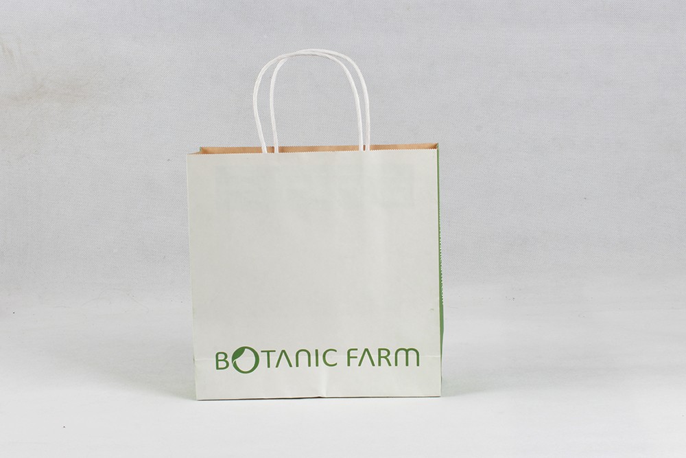 时尚牛皮纸袋  BOTANIC FARM